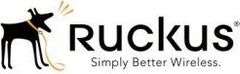 Ruckus logo